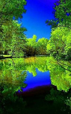 O Projeto Neoliberal no mundo e no Brasil é anti-vida e inimigo da natureza